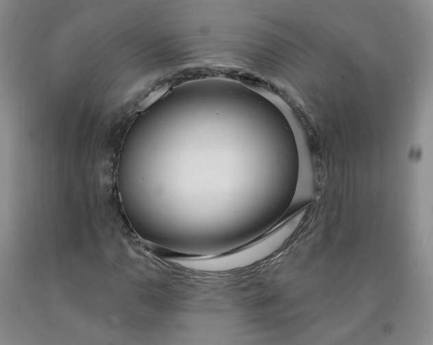 X0000091971110200709201359