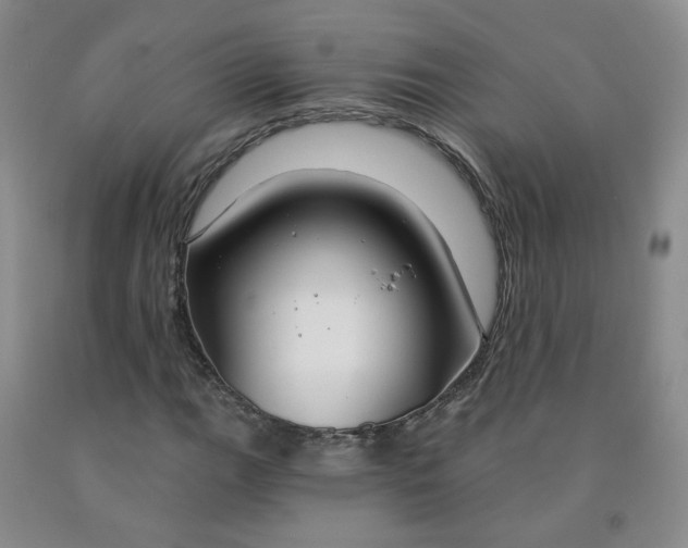 X0000091971111200709201359