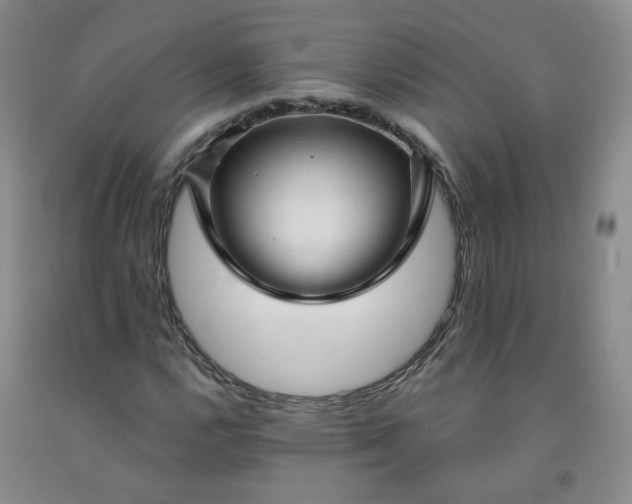 X0000091971112200709201359