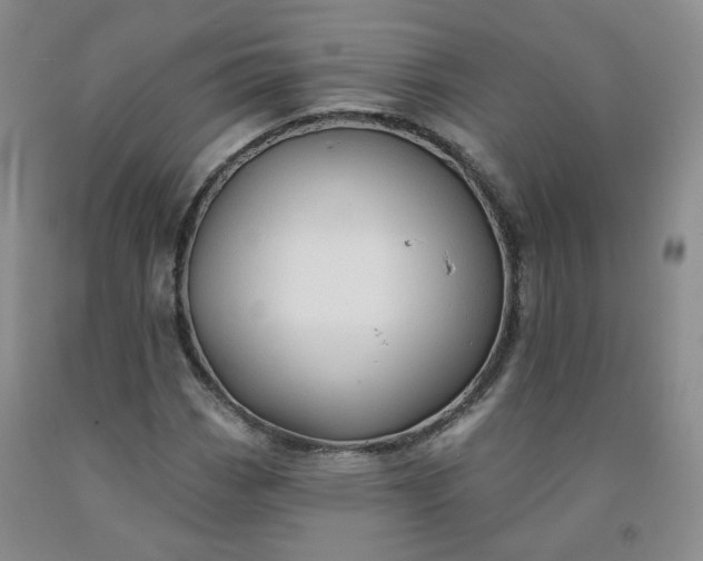 X0000091971113200709201359