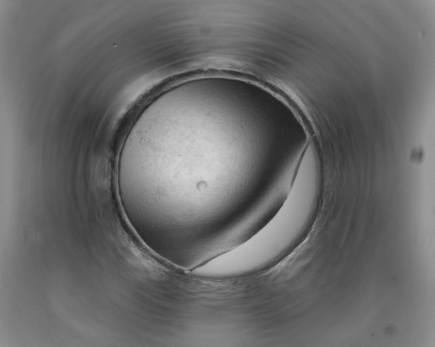 X0000091971115200709201359