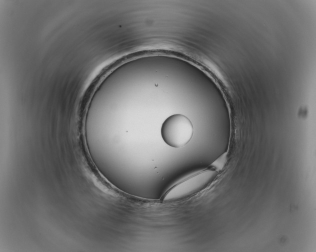 X0000091971116200709201359
