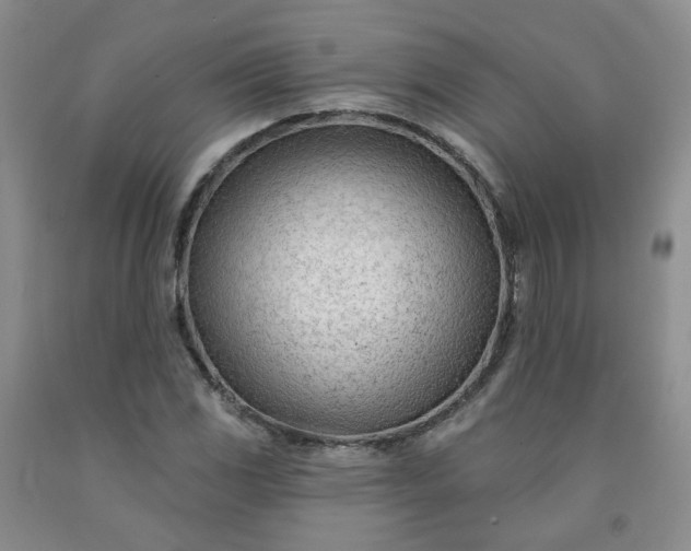 X0000091971117200709201359