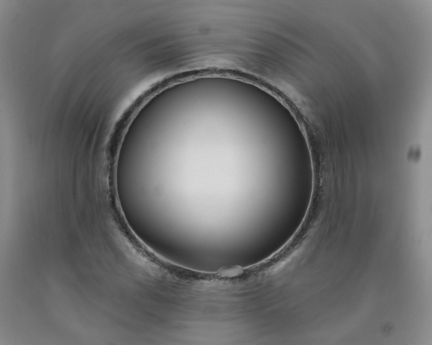 X0000091971118200709201359