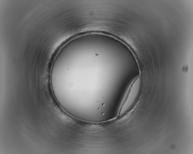 X0000091971119200709201359