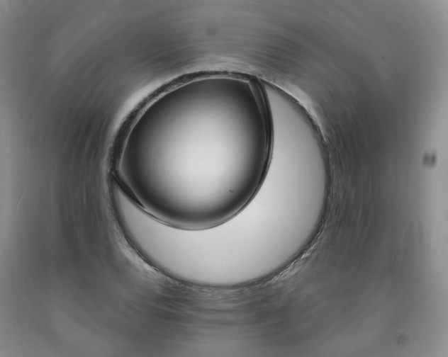 X0000091971120200709201359