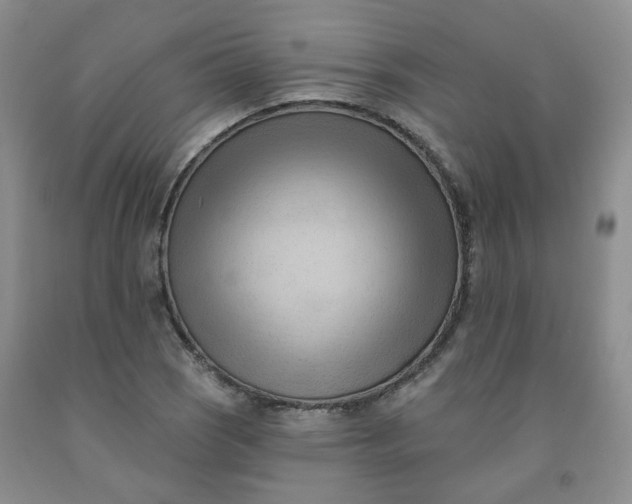 X0000091971121200709201359