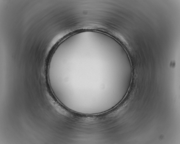 X0000091971122200709201359