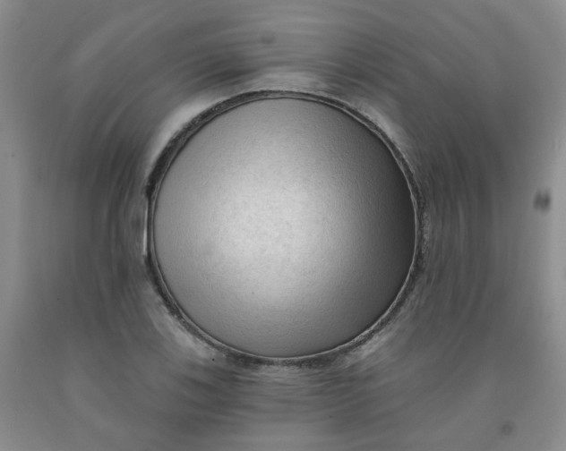 X0000091971123200709201359