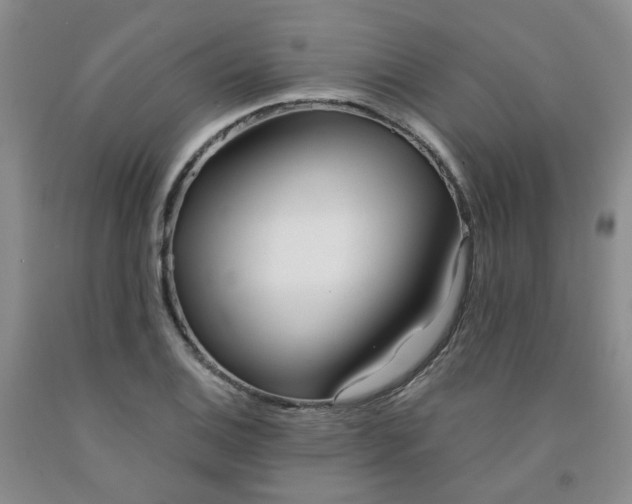 X0000091971124200709201359