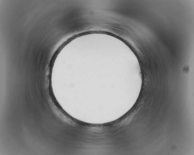 X0000091971126200709201359