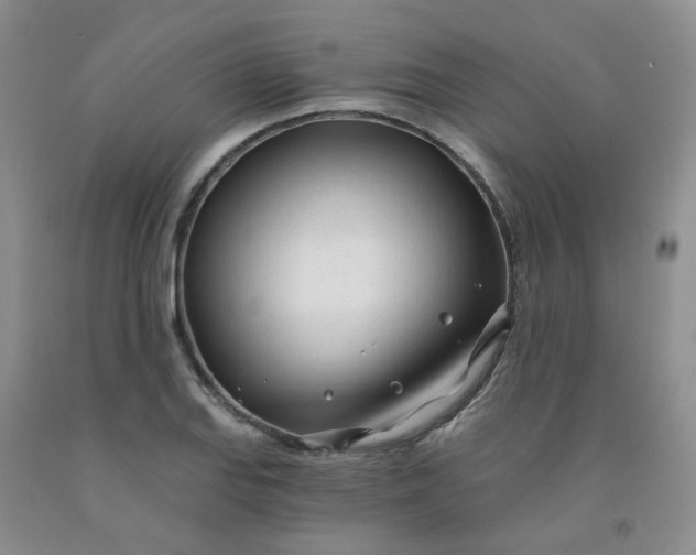 X0000091971127200709201359