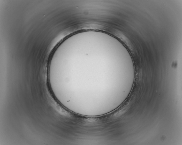 X0000091971130200709201359