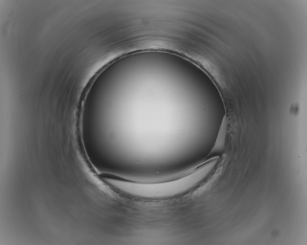 X0000091971134200709201359