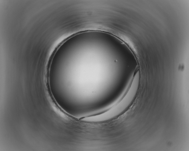 X0000091971136200709201359