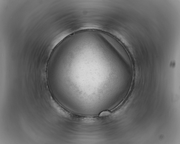 X0000091971137200709201359