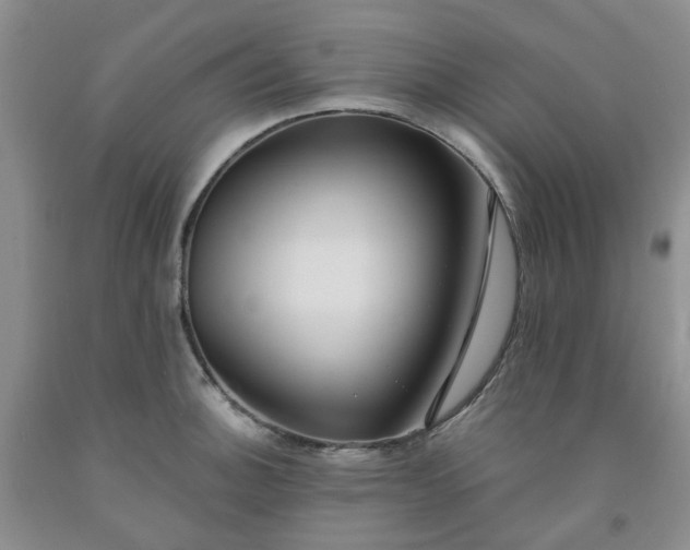 X0000091971140200709201400