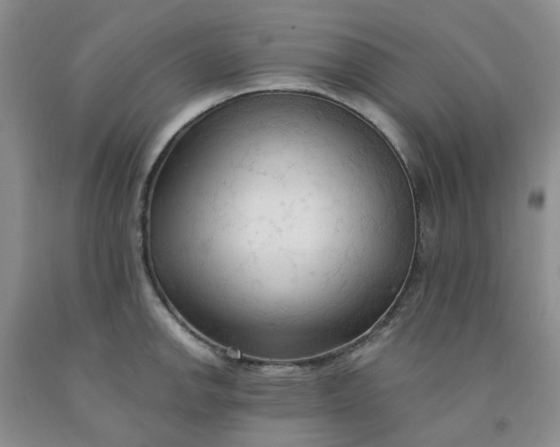 X0000091971142200709201400