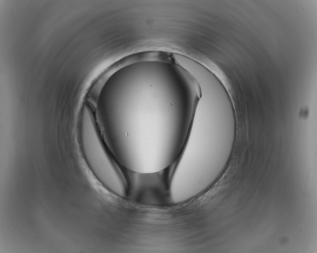 X0000091971144200709201400