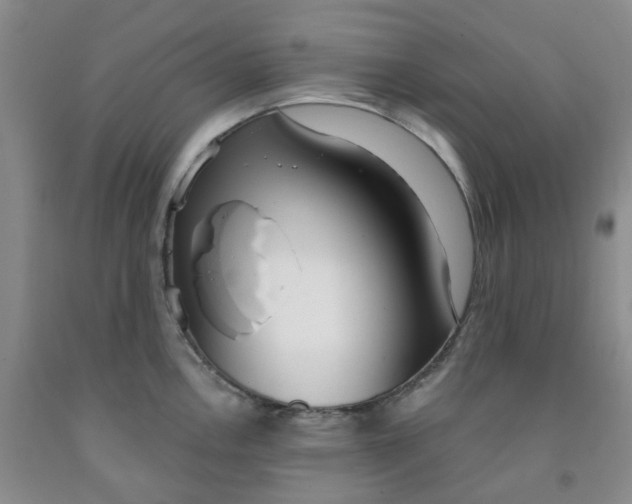 X0000091971146200709201400