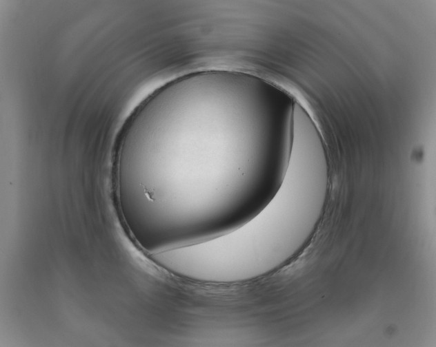X0000091971147200709201400