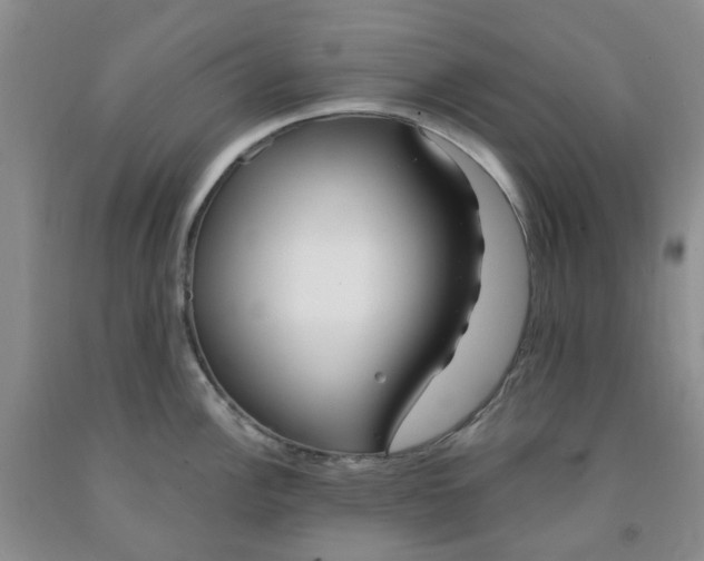 X0000091971148200709201400
