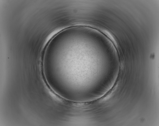 X0000091971149200709201400