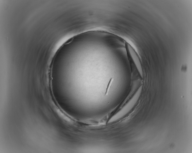 X0000091971151200709201400