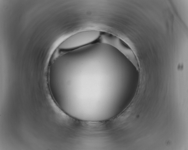 X0000091971152200709201400