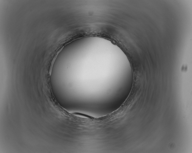 X0000091971153200709201359