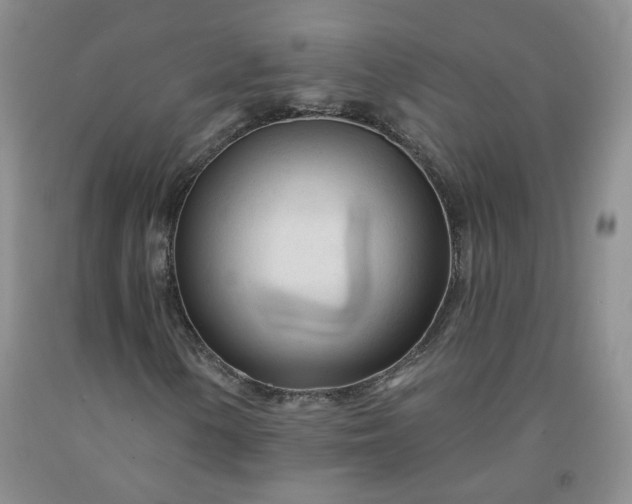 X0000091971154200709201359