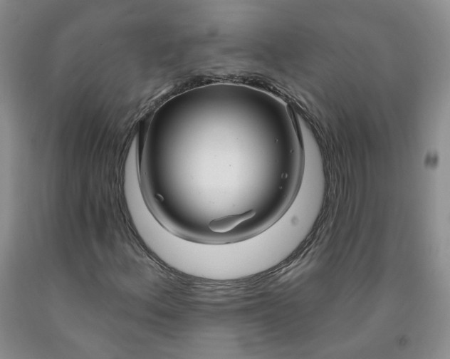 X0000091971156200709201359