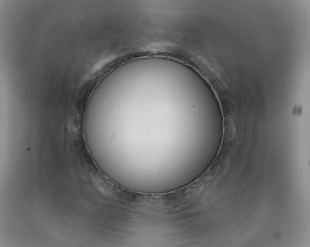 X0000091971158200709201359