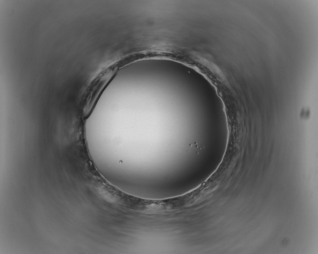 X0000091971160200709201359