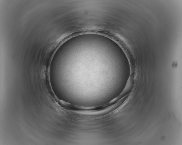 X0000091971161200709201359