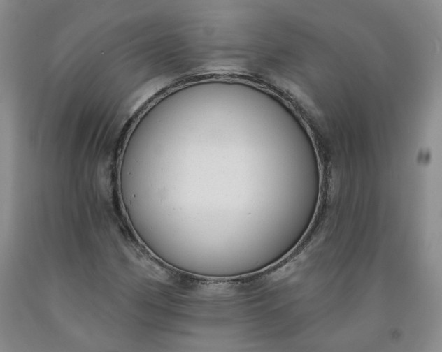 X0000091971162200709201359