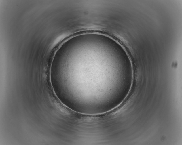 X0000091971163200709201359