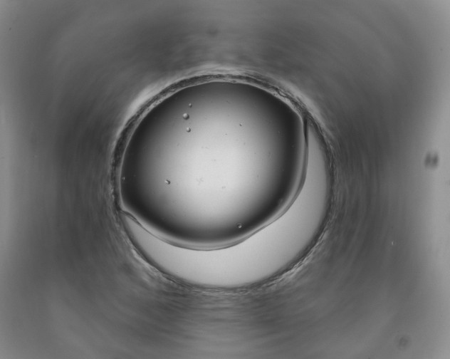 X0000091971168200709201359