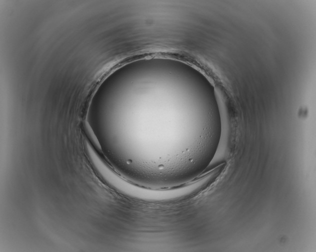 X0000091971169200709201359