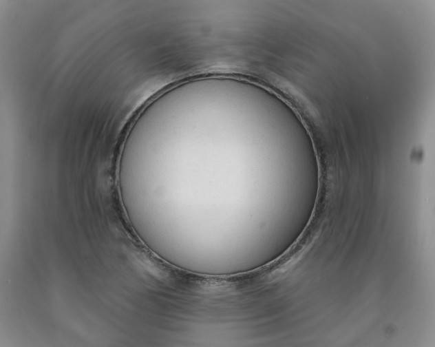 X0000091971170200709201359