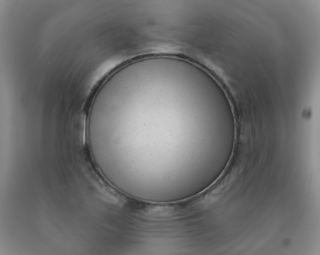 X0000091971171200709201359