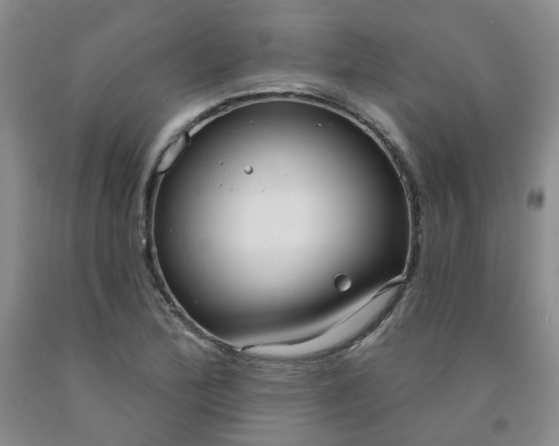 X0000091971172200709201359