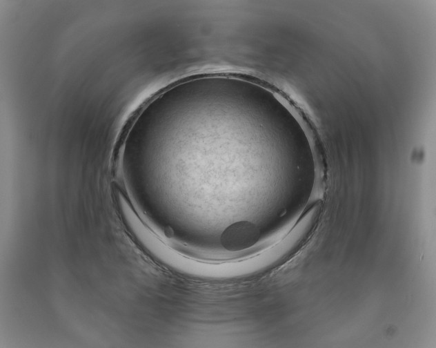 X0000091971173200709201359
