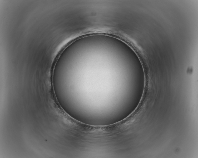X0000091971174200709201359