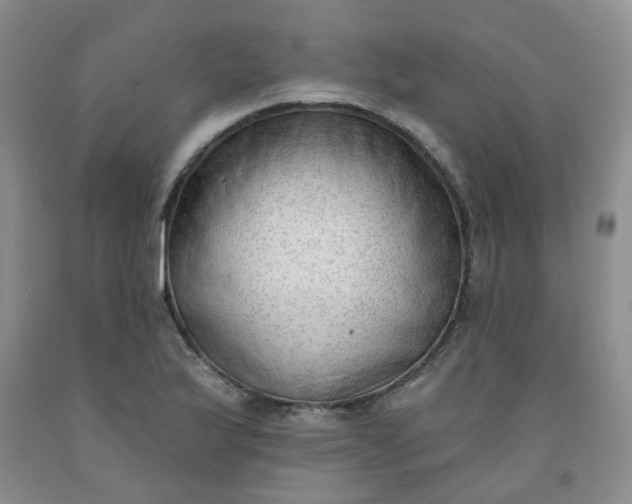 X0000091971175200709201359