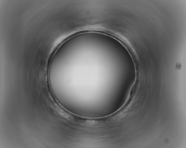 X0000091971176200709201359