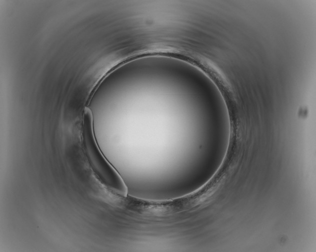 X0000091971177200709201359