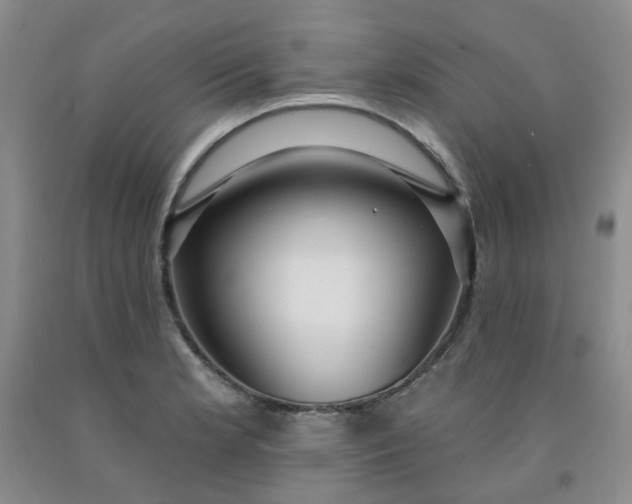 X0000091971181200709201359