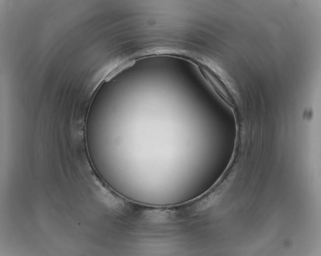 X0000091971185200709201359