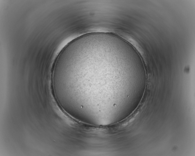 X0000091971187200709201358